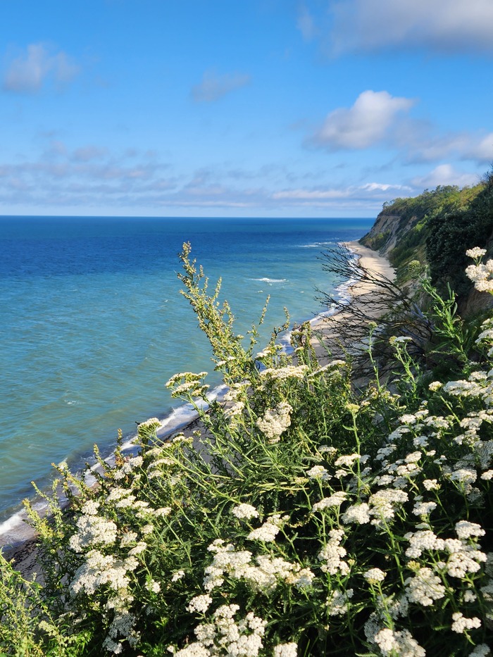 Ответ на пост «Лучший кадр 2025 года»