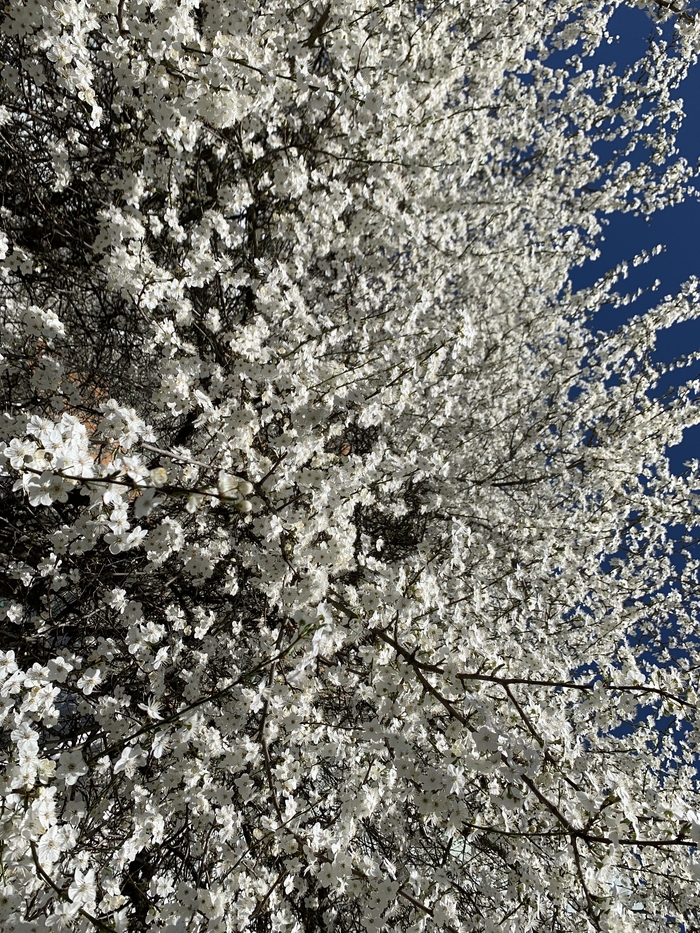 Ответ на пост «Лучший кадр 2025 года»