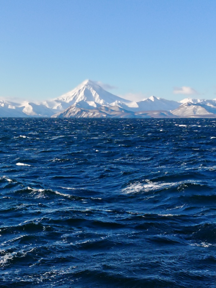 ������ ���� 2025 ����