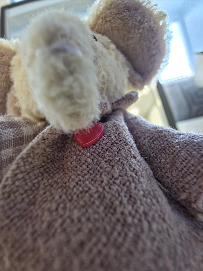 Пиджак из крапивы