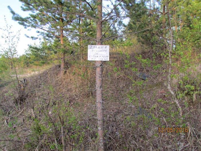 Как приедем на рыбалку,на озеро ,,бутылки мусор..