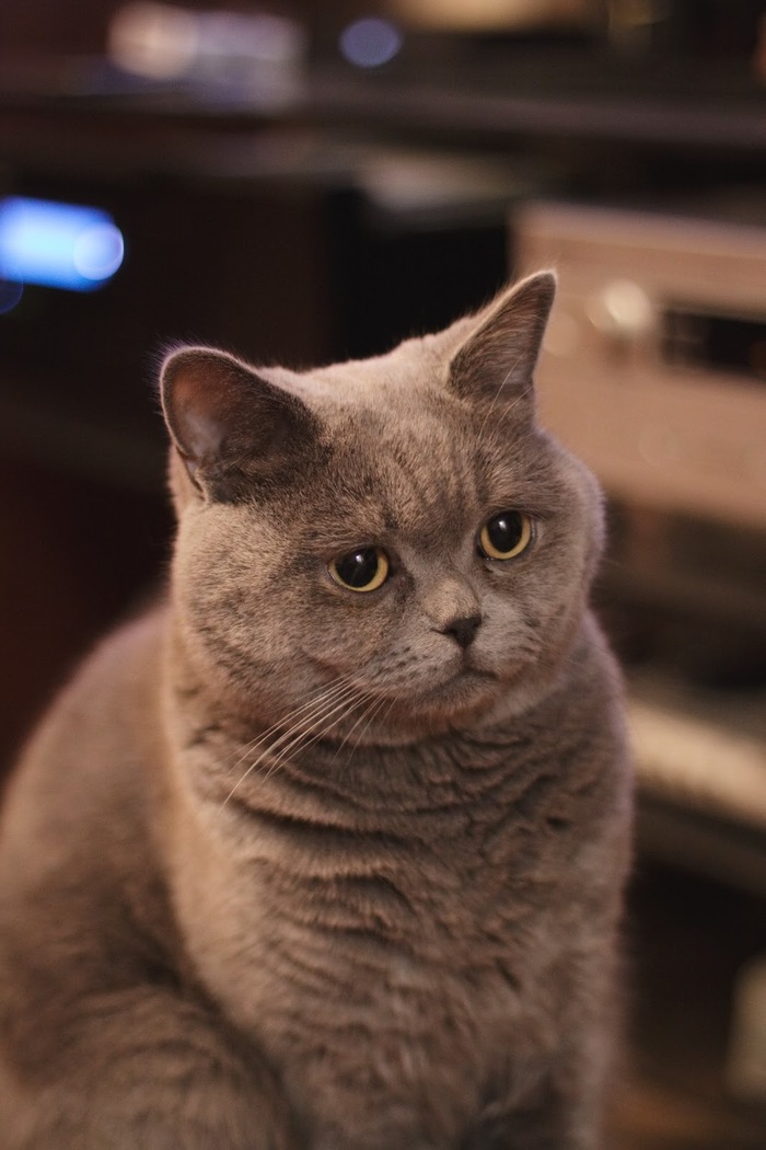 ����� lastnomad � ���� ������ ���������� ����