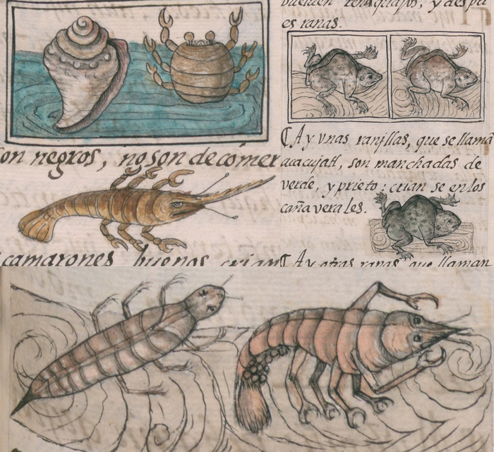 Дары рек и озёр