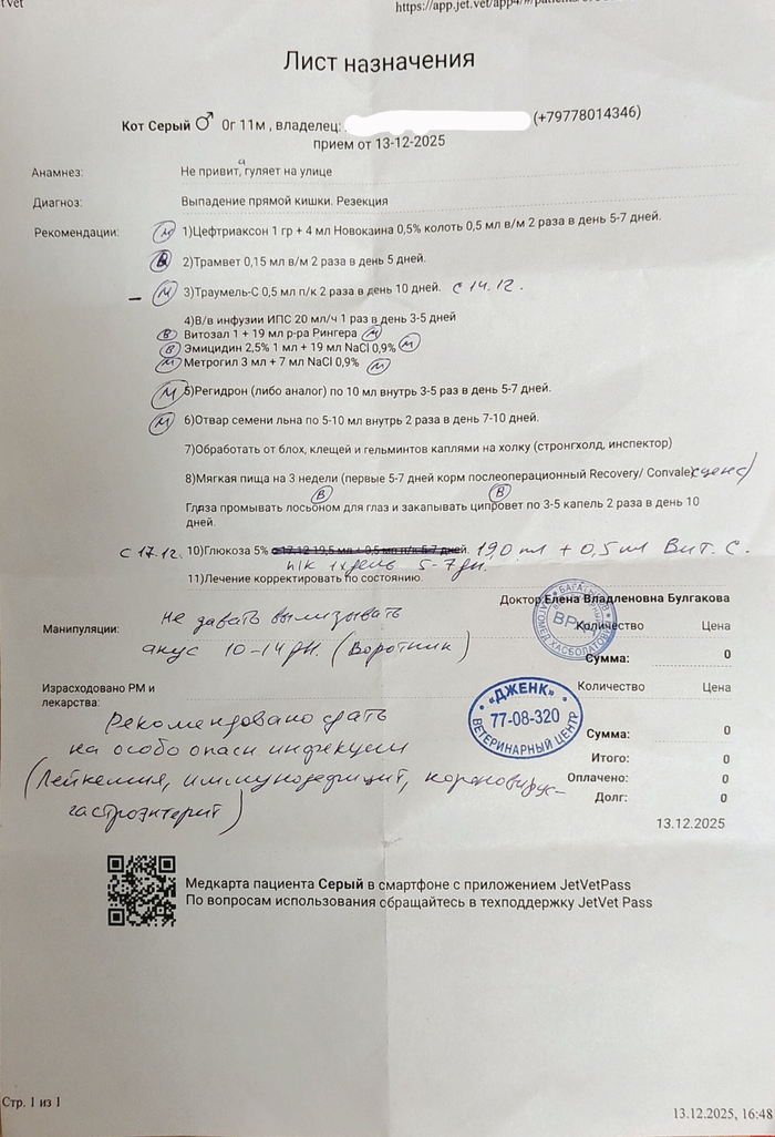 Ищет куратора или дом кошка с проблемами со здоровьем. тел. +7 977-801-4346