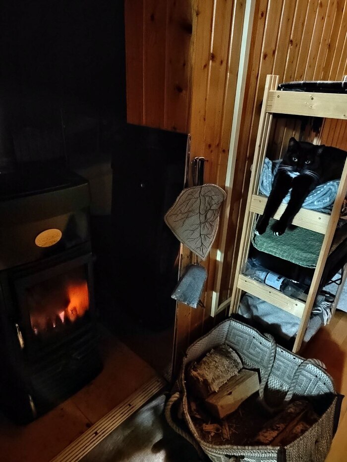    &quot;,   ,   &quot;