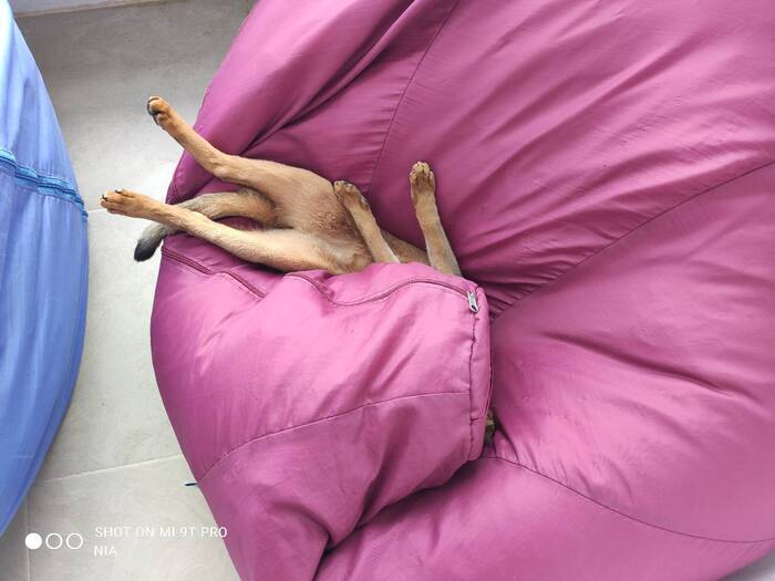 Ответ на пост «Моя лучшая фотография кота»