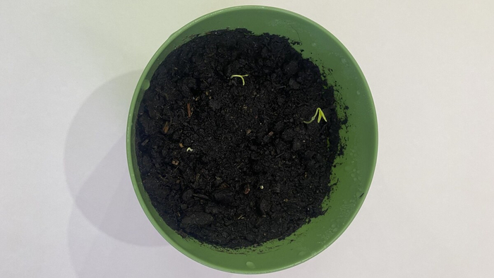 Новая жезнь!