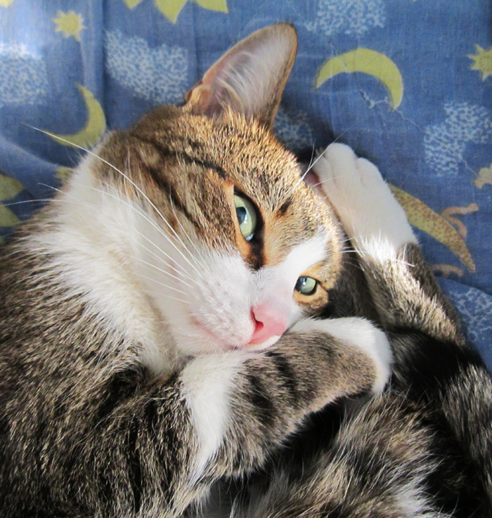 совсем мелких фото нет, потому что его тогда никто не фотографировал.