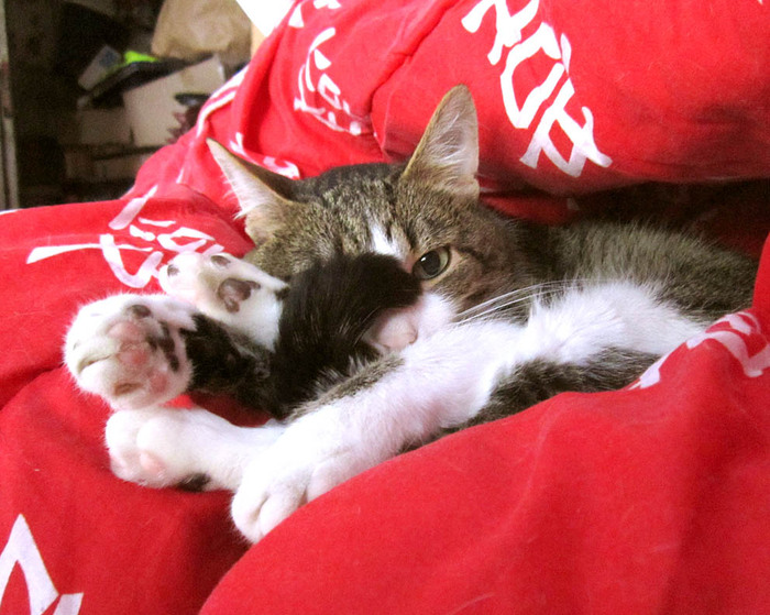 спряталсо ехехе