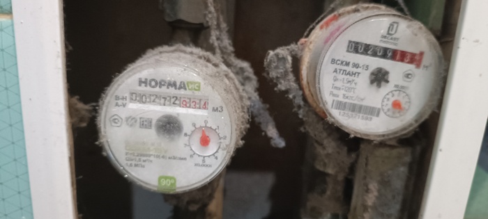 Ответ Gauree в «Лучший кадр 2025 года»