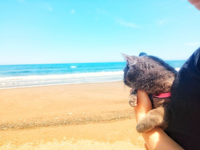 Выкладываю фото любимки потому, что считаю её самой-самой