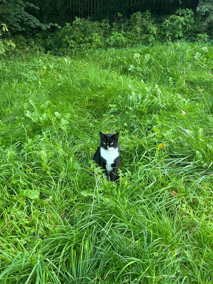 Ответ на пост «Лучший кадр 2025 года»