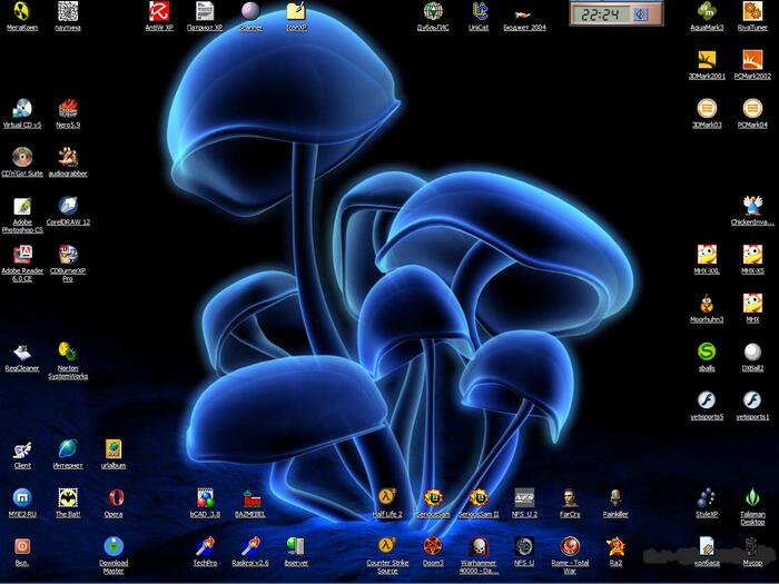 пумы не было, было так.