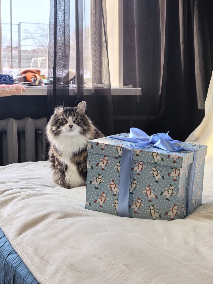 Снегурочка заходила)