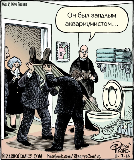 Bizarro #335