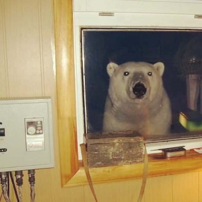 Ну, давай человек, расскажи как тебе сложно живётся.