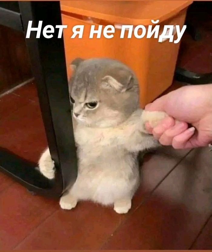 Когда вызвали на работу в выходной