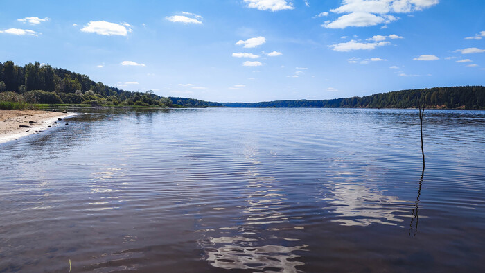 ��������.