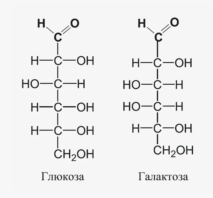 Что такое молоко? (Часть 2)