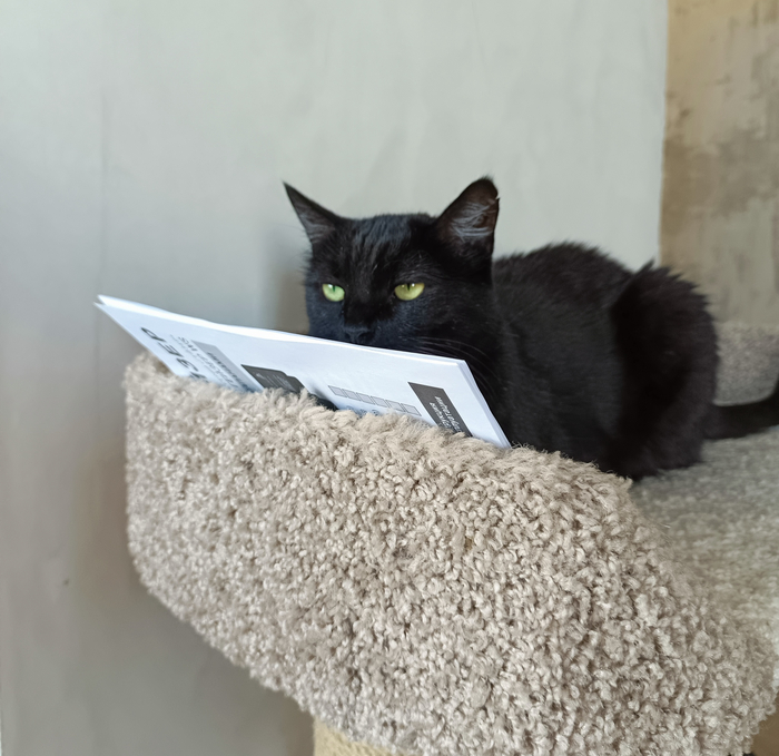 Хозяин, ты тут пункт про обратный клапан пропустил, лох, мда, даже коту понятно