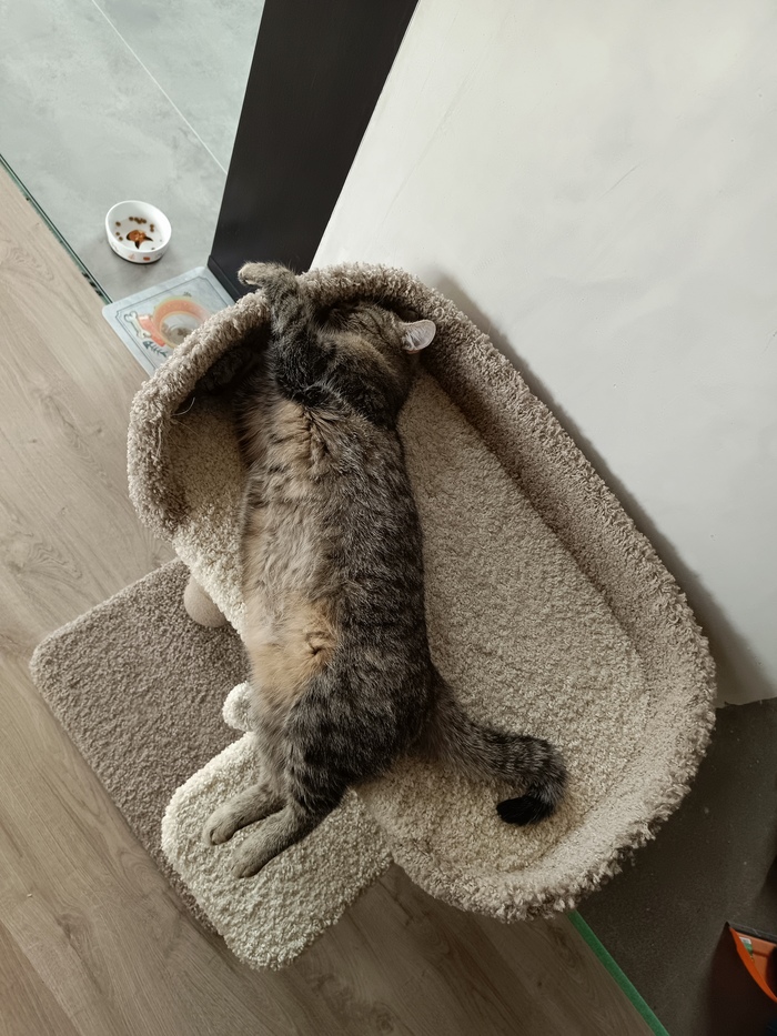 А в субботу утром просит ее не трогать