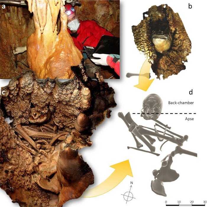 Расположение скелета в пещере.