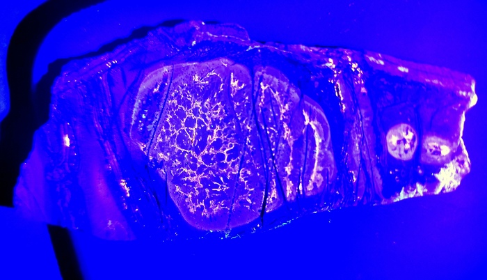 Тот же камень, освещение ультрафиолетом длиной волны 395 нм.