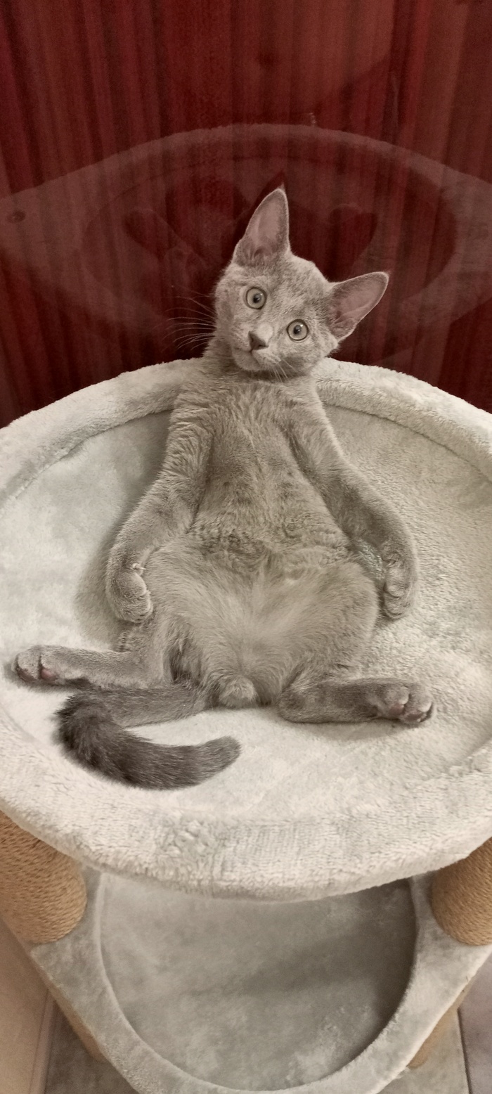 ����� ����� ���� � ���� ������.