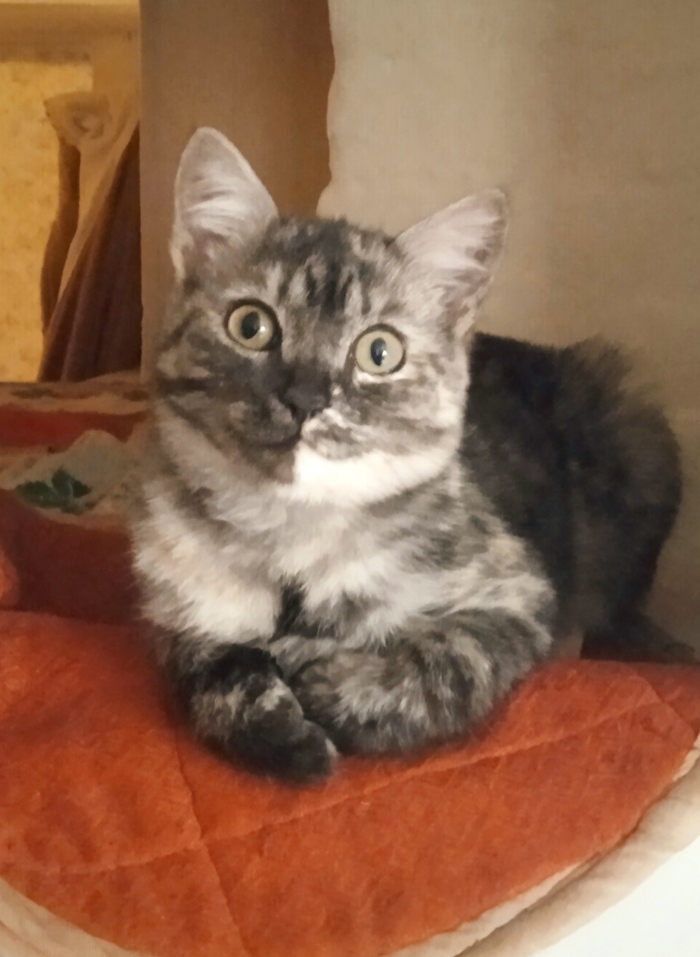 В гостях у сказки)