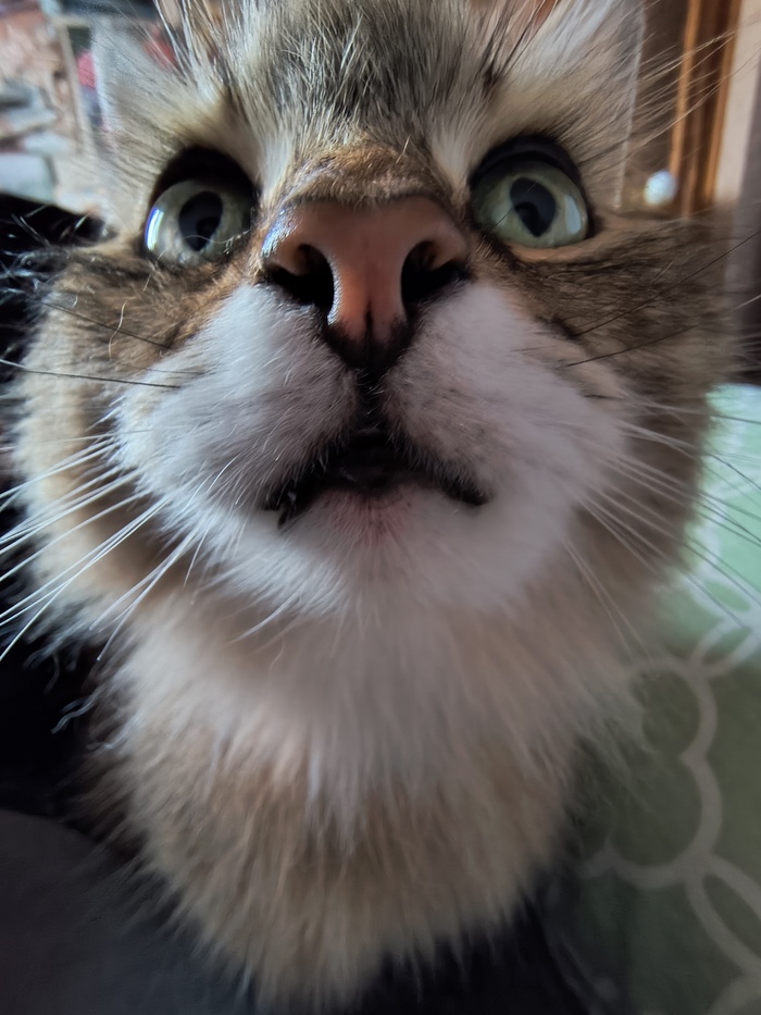 ����� �� ���� ���� ������ ���������� ����