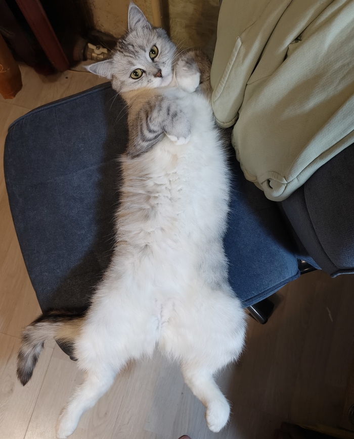 ����� �� ���� ���� ������ ���������� ����