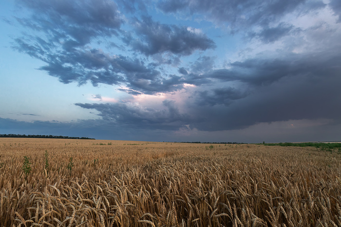 Вечер в полях