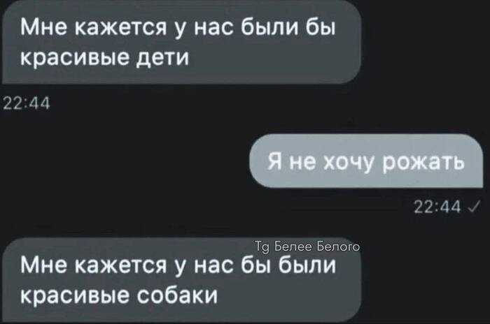 <!--noindex--><a href="https://pikabu.ru/story/koshek_propustil_13501041?u=https%3A%2F%2Ft.me%2Fbeleebelogo%2F18079&t=https%3A%2F%2Ft.me%2Fbeleebelogo%2F18079&h=7cc38f9ab3680c60da43f059cd083cdd0ce9f761" title="https://t.me/beleebelogo/18079" target="_blank" rel="nofollow noopener">https://t.me/beleebelogo/18079</a><!--/noindex-->