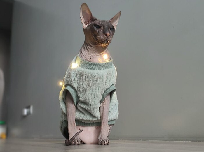 Безудержное новогоднее веселье