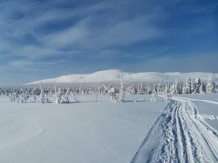 ��� �� ���� � ���������� �����