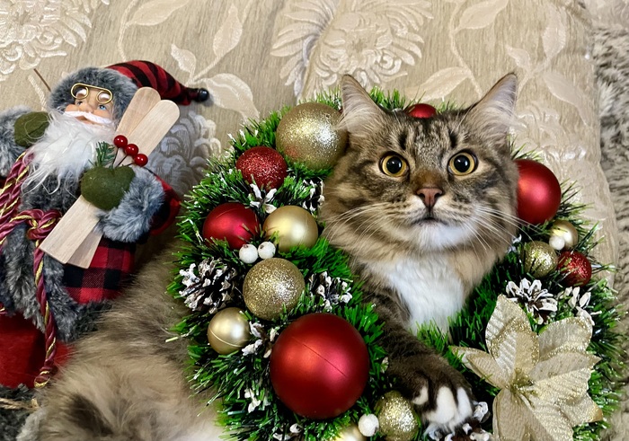 ���� ����������, ������� ������ ����� ���