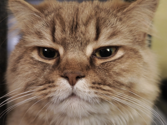 ����� �� ���� ���� ������ ���������� ����