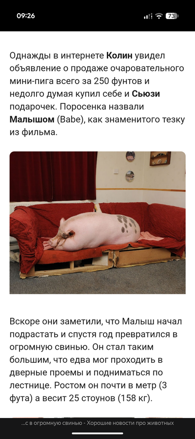 ����������� � �����������