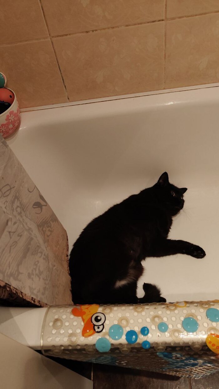 И вот так тоже можно, но поперек он не помещается в полный рост