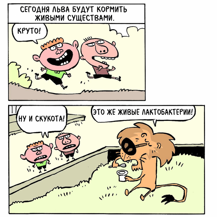 Современный лев