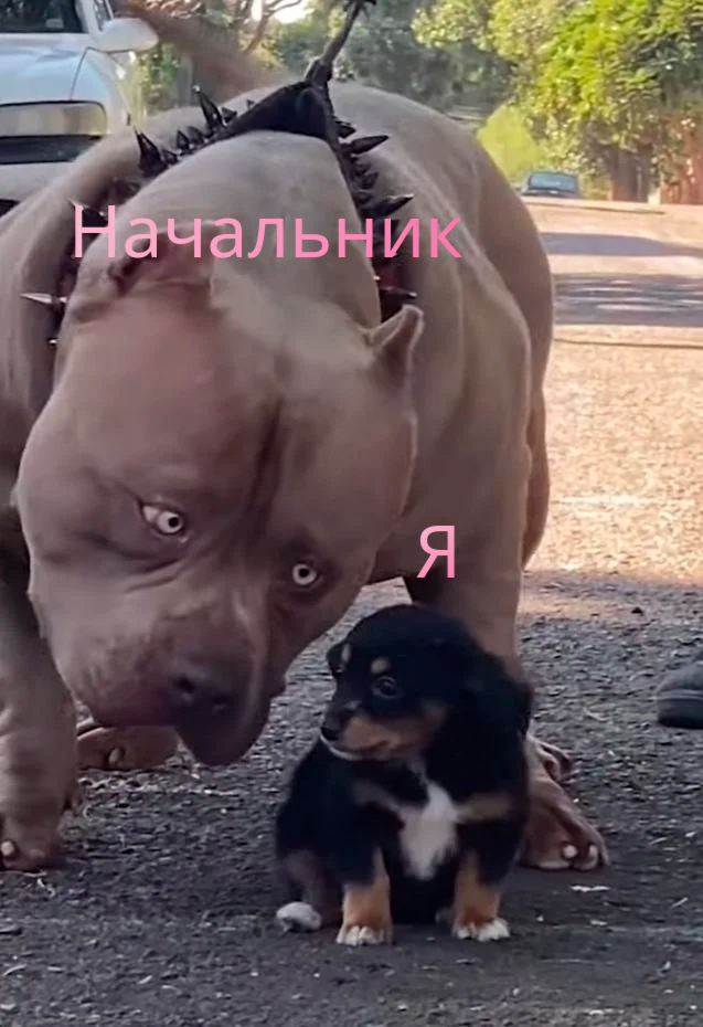 Когда ищут работника на праздники