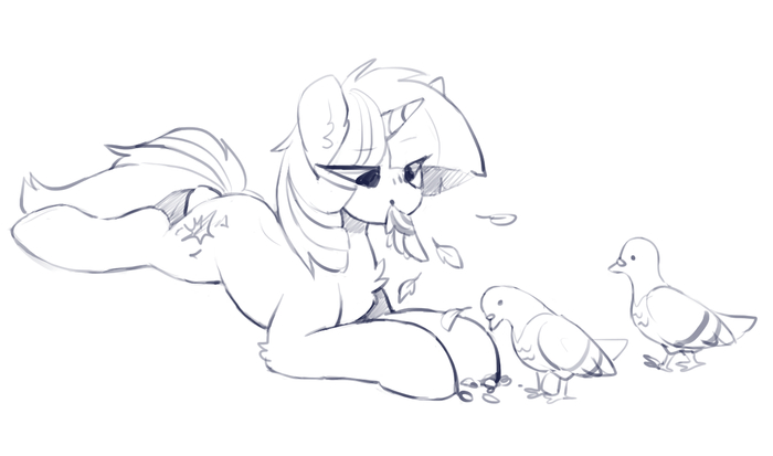 ����� ����������