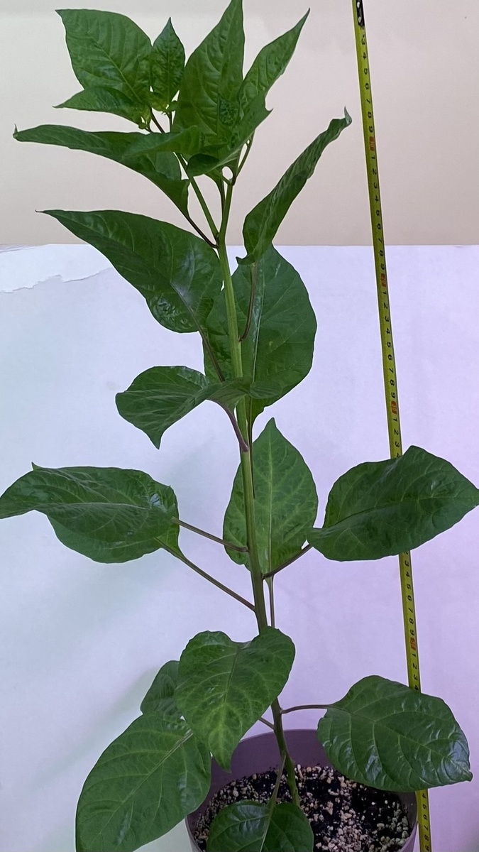 ������ �����!