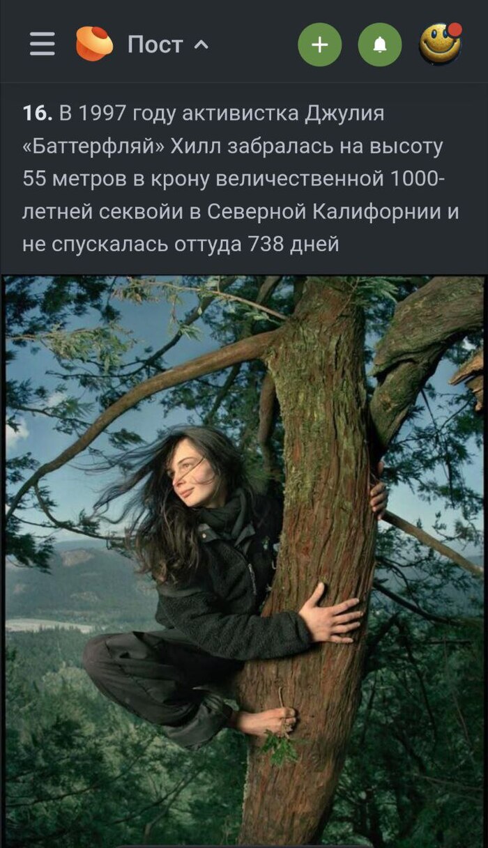 ����� �� ���� ������� ����� �� Reddit �� ������ #25�