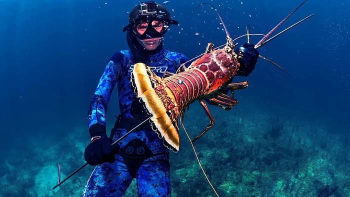 Это что, соревнование на самый яркий костюм в океане?