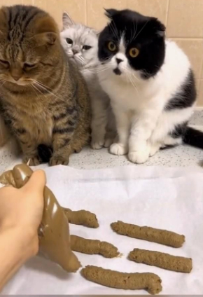 ������, �������� �������� �� �������? ��� � ��������, �������� � ��������)