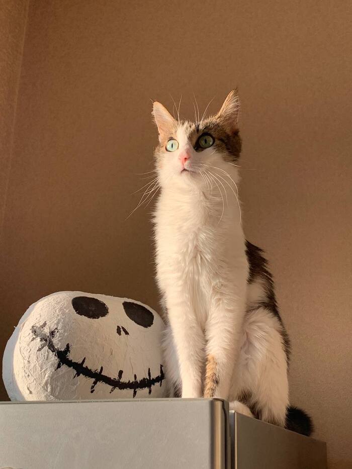 ����� �� ���� �������� �� 0 �� 10�