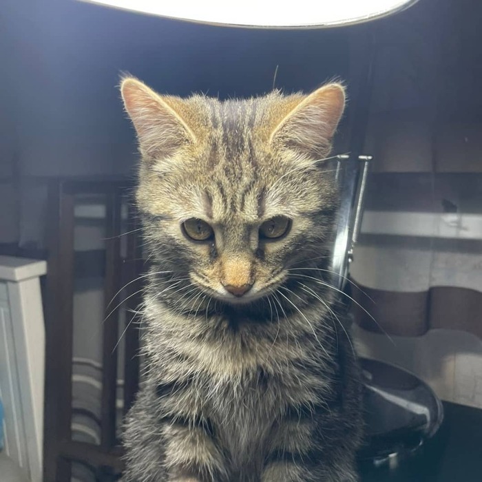 ��� ������ ���������� ����