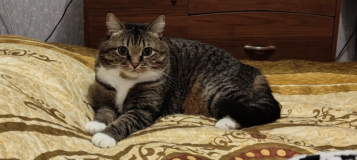 ����� �� ���� ���� ������ ���������� ����