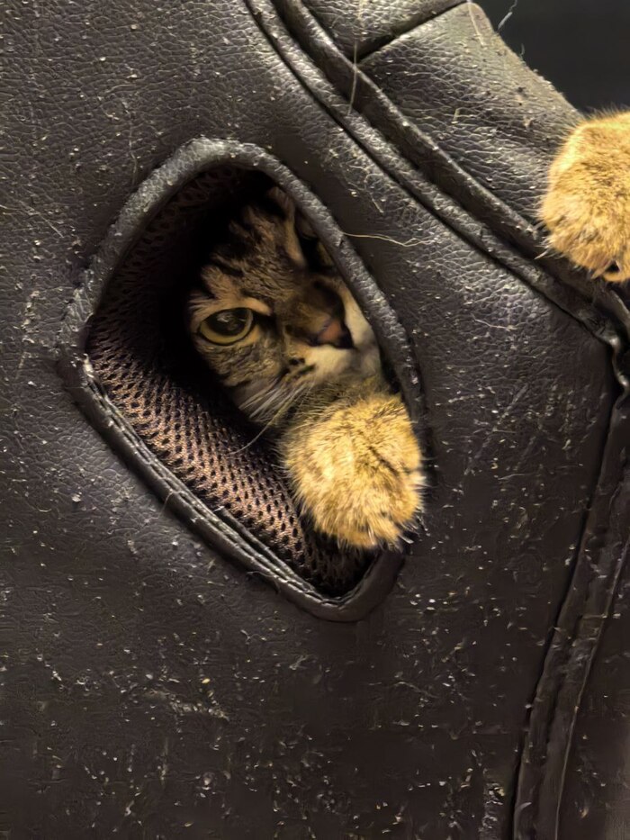 ����� �� ���� ���� ������ ���������� ����